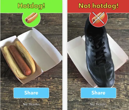 The SeeFood app from Silicon Valley, showing Hotdog for a hot dog and Not hotdog for a shoe